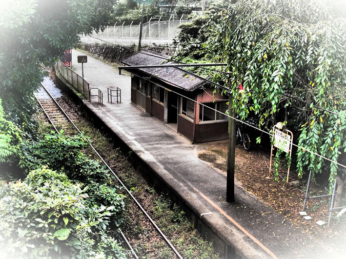 写真2
