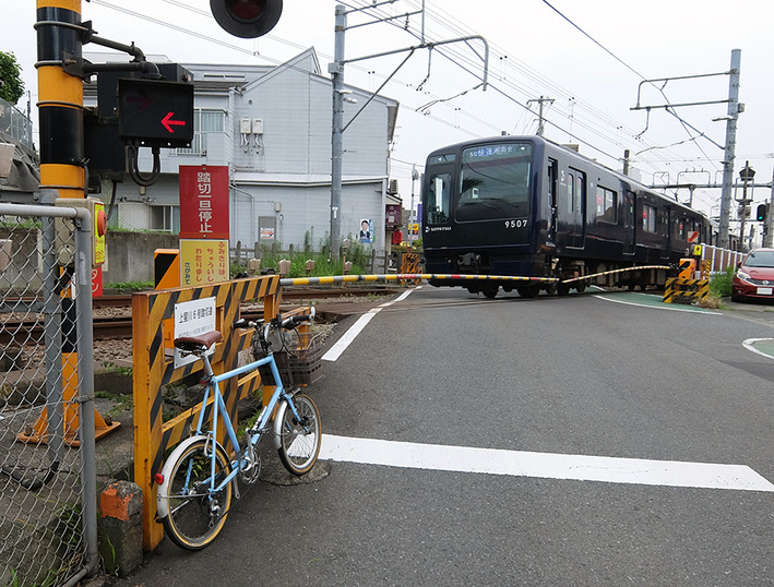 ホタルの乱舞♪ ご近所ポタリング