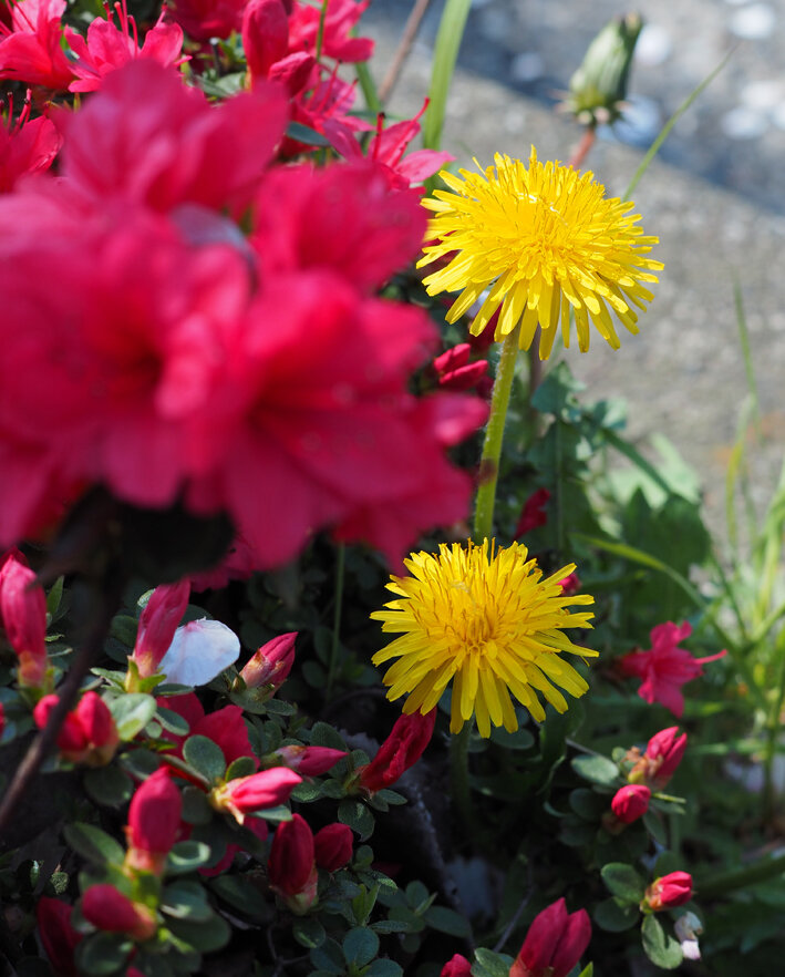 写真3