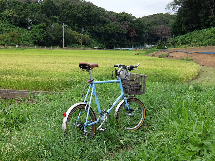 案山子5