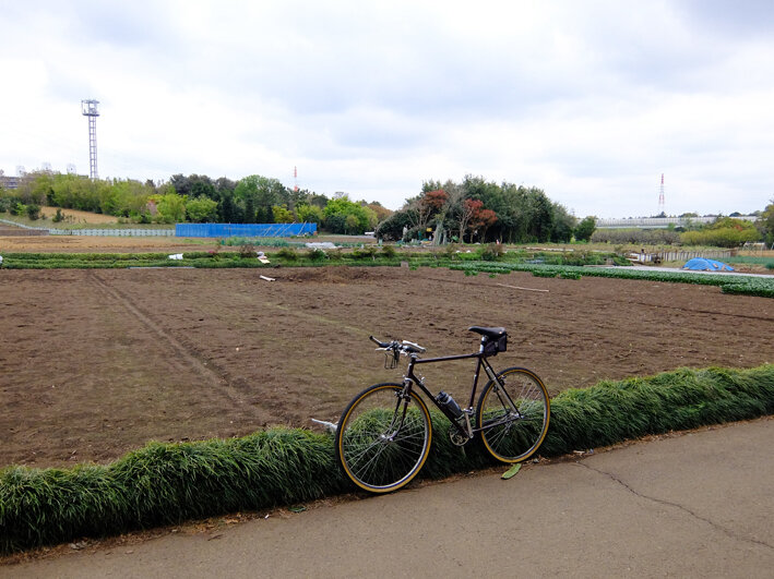 写真5
