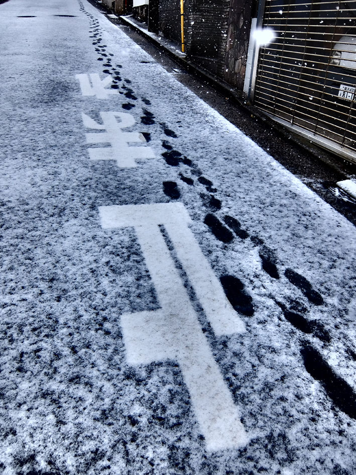 横浜は30年ぶりの積雪!!