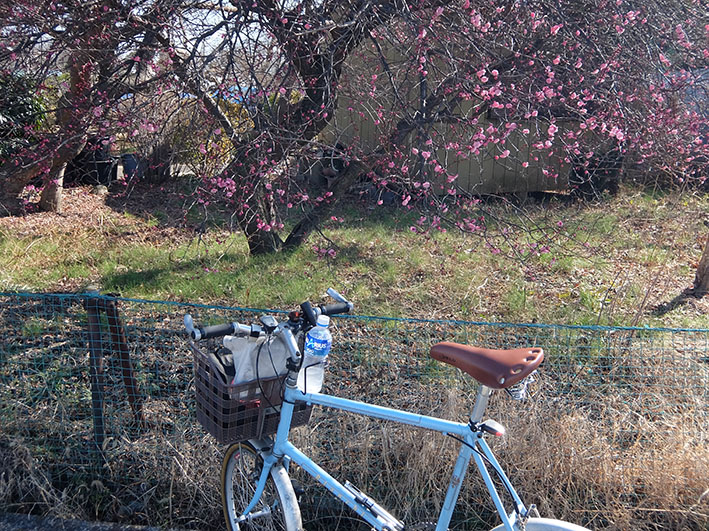 ご近所ポタ　黄色のランボと赤のフェラーリ!!
