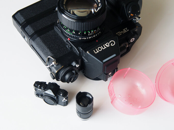 写真5