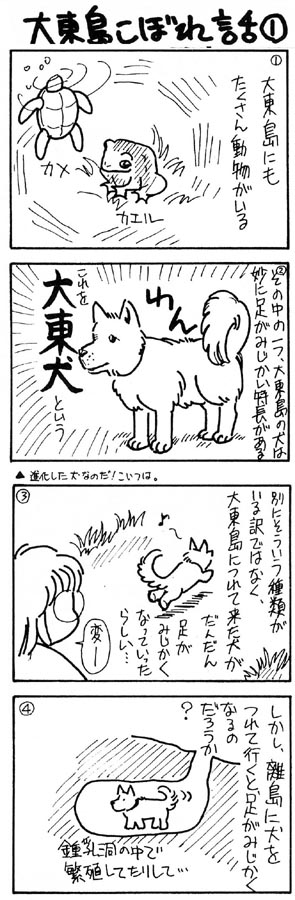 南北大東島を旅する 旅からす Vol 2のご案内 旅からす本館 日本をもっと楽しもう 南北大東島を旅する 旅からす Vol 2のご案内 旅からす本館 日本をもっと楽しもう