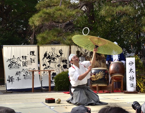 25大神楽傘N_00001