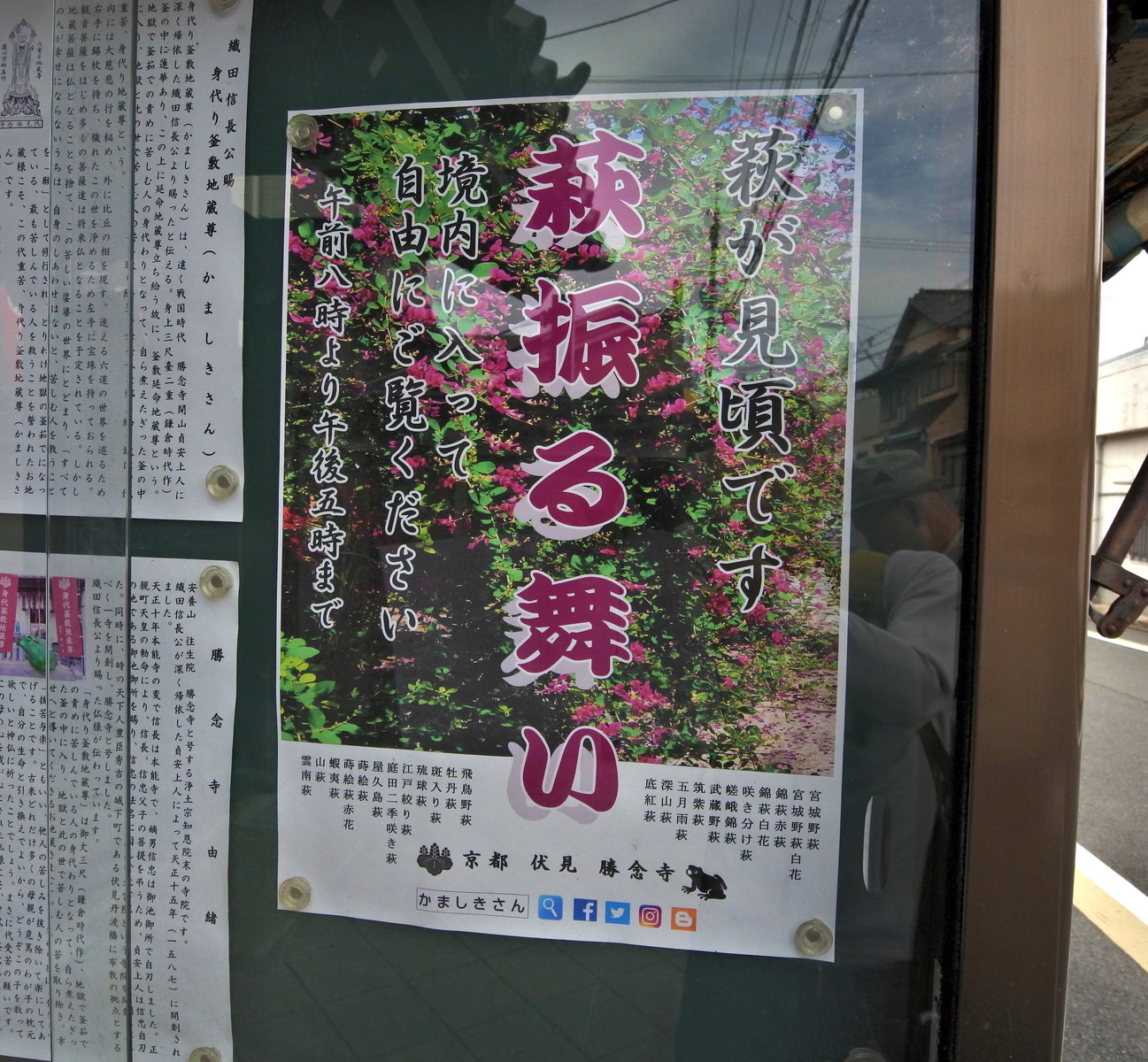 萩振る舞いのかましきさん アフター古希親父の霊場巡り 萩振る舞いのかましきさん アフター古希親父の霊場巡り