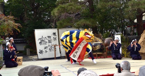 7寅舞N_00037