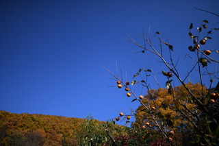 DSC_6390