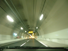 DSCN5871