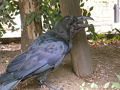 DSCN1308