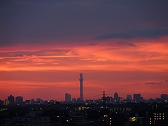 P1020907