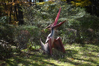 DSC_7553