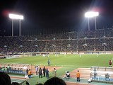 25b97540.JPG