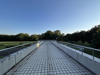 IMG_1517