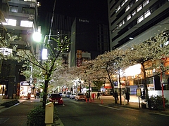 11_04_07_150