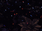 DSCN2453