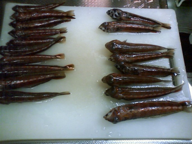 トラギス 多分世界で最初のとんかつ評論家 元木一朗のブログ