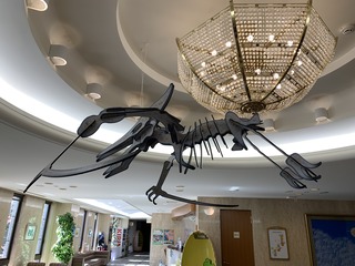 IMG_8279