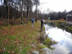 11_11_12_537