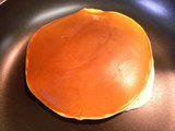 DSCN2088
