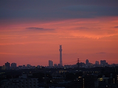 P1020911
