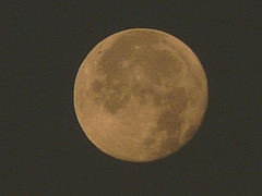 P1040259
