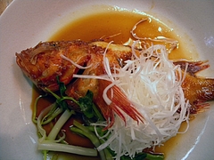 DSCN5495