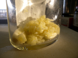 DSCN3176