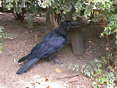 DSCN1302