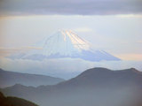 fuji