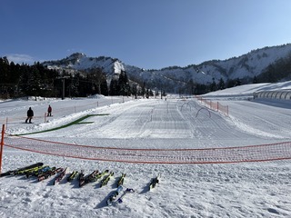 IMG_4867