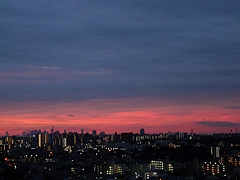 P1020903