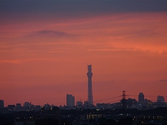 P1020913
