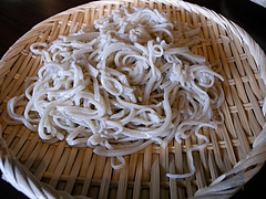 kasimayari 168