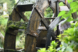 DSC_5264