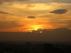 DSCN5855