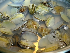 DSCN7030