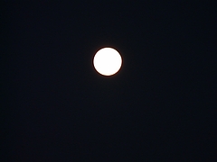P1030950
