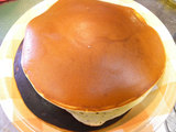 DSCN2091