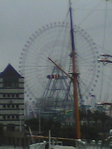 050622_1311~01.jpg
