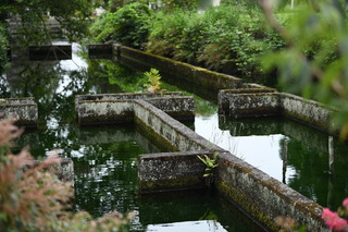 DSC_5255