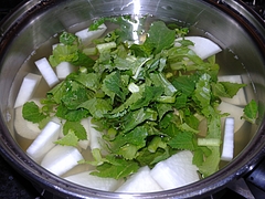 DSCN6558