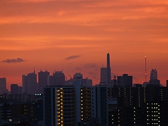P1020914