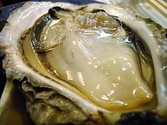 DSCN7082
