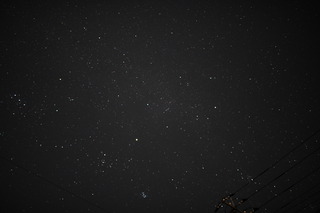 DSC_7184