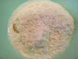 DSCN2067
