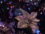 DSCN2456