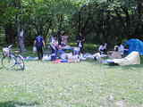 d78f7bbc.jpg