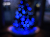 DSCN2506